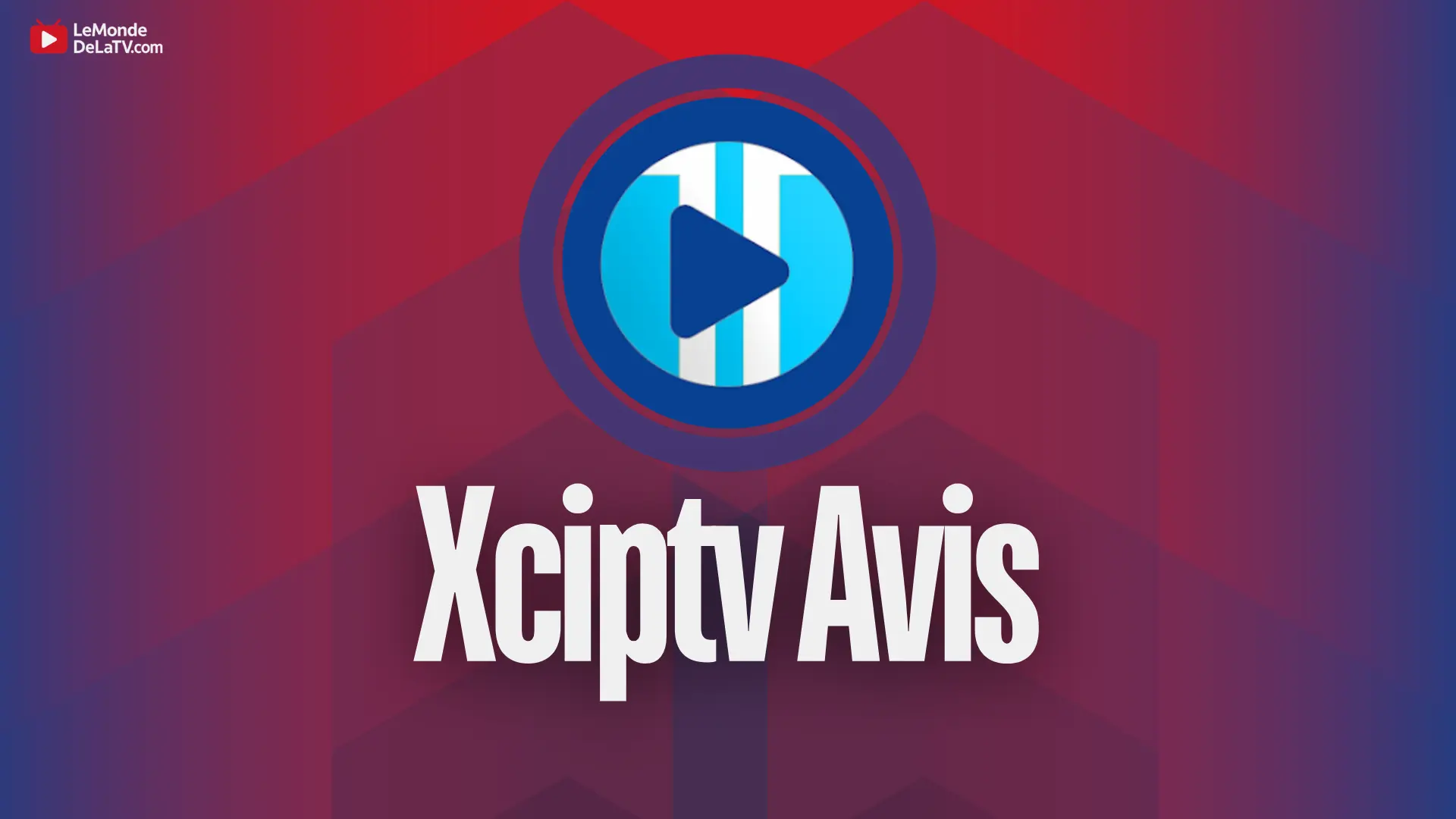 Xciptv Avis